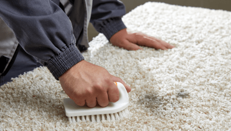 Professional Rug Cleaning The Patch