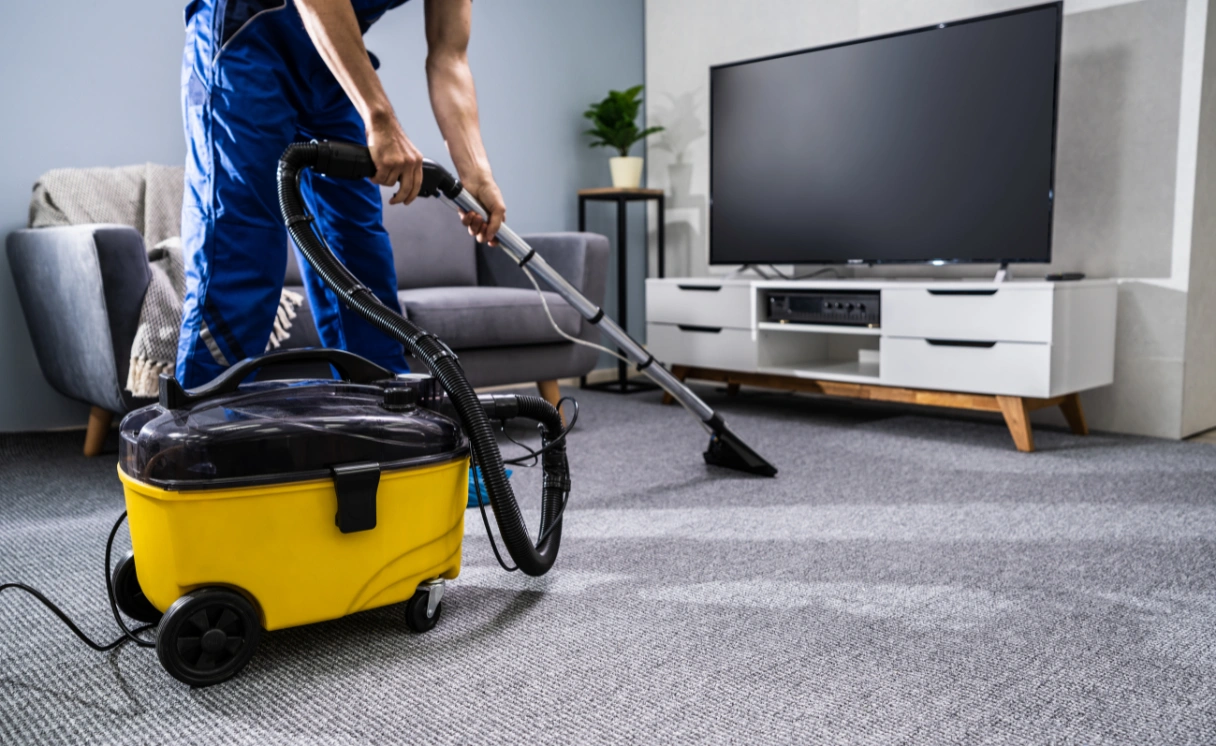 Extract Rug Cleaning The Patch Contact Office